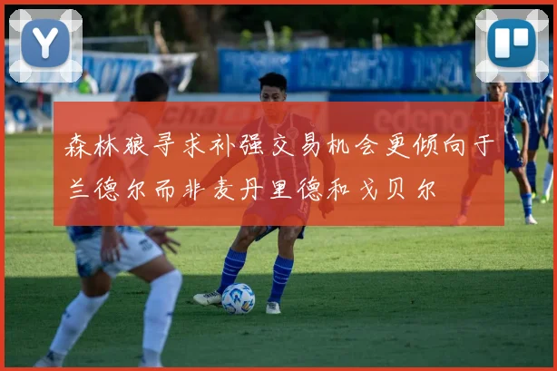 森林狼寻求补强交易机会更倾向于兰德尔而非麦丹里德和戈贝尔